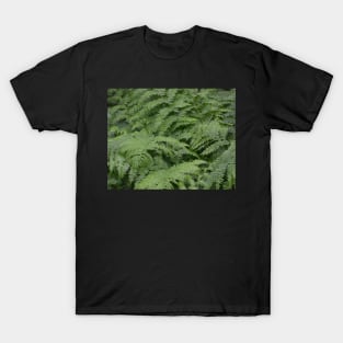 Gully! Ferns! T-Shirt